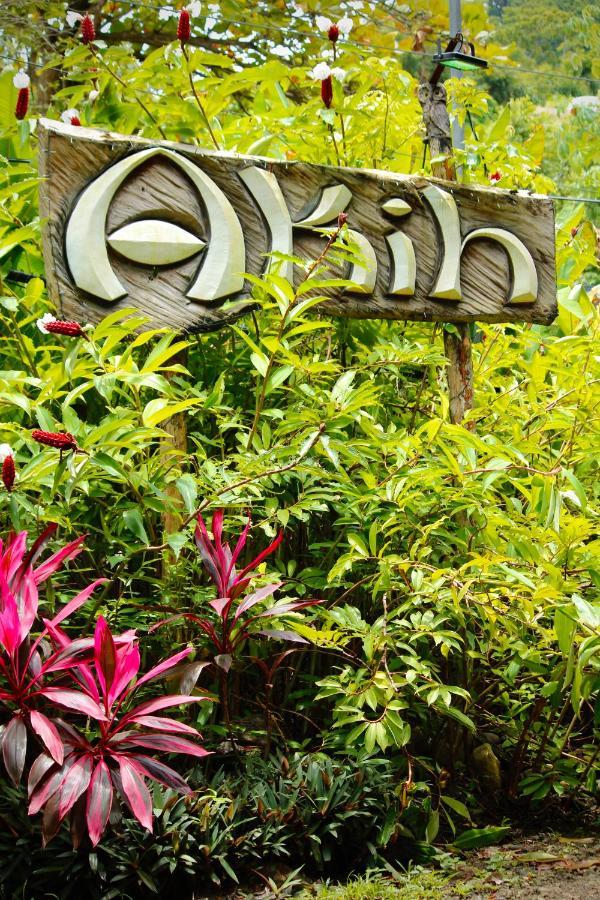 Akih Pods Hostel Playa Santa Teresa  エクステリア 写真