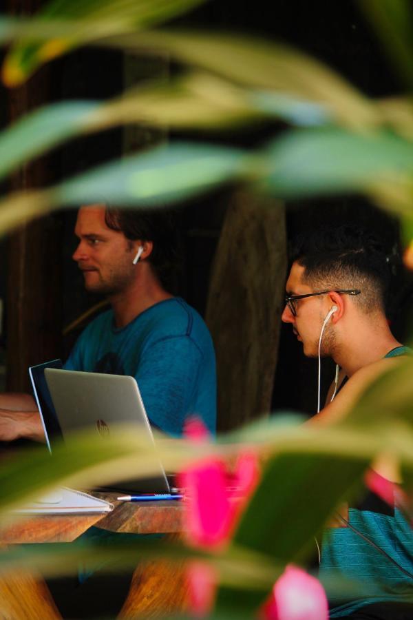 Akih Pods Hostel Playa Santa Teresa  エクステリア 写真
