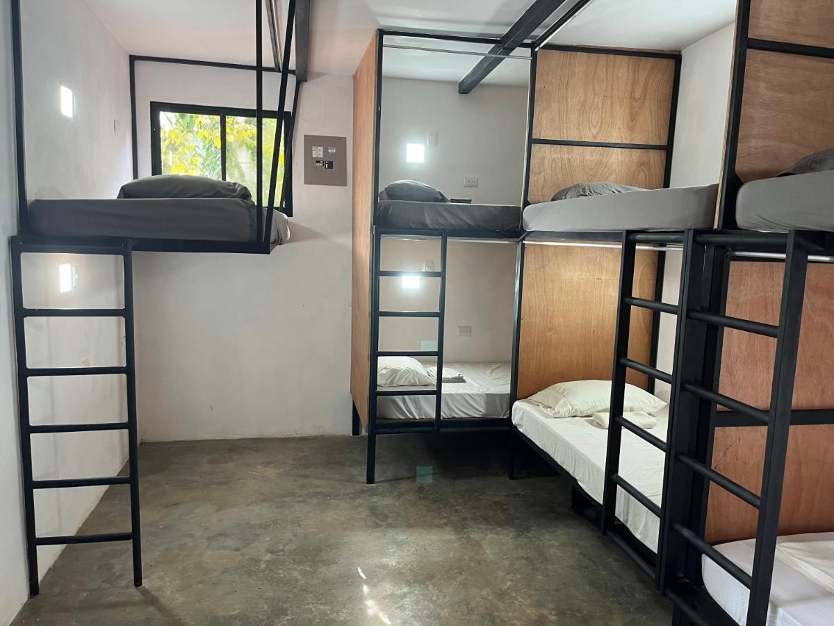 Akih Pods Hostel Playa Santa Teresa  エクステリア 写真